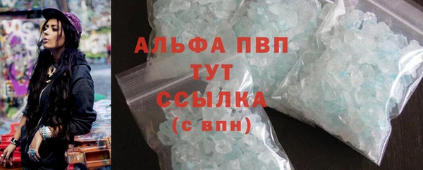 стаф Абаза