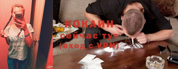 стаф Абаза