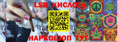 таблы Будённовск