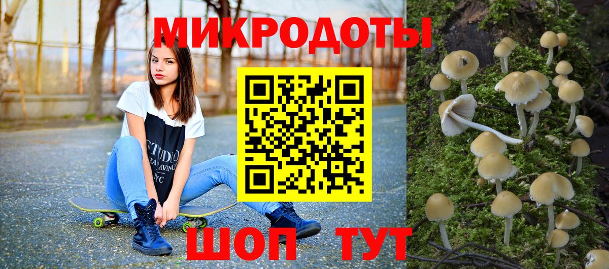 Псилоцибиновые грибы Psilocybine cubensis  Псилоцибиновые грибы прущие грибы  Балаково  Вход с VPN 