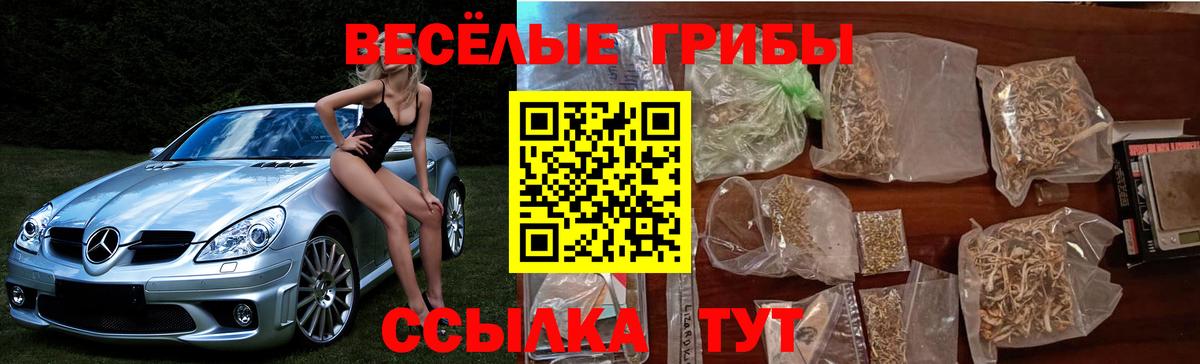 Псилоцибиновые грибы мицелий Балаково